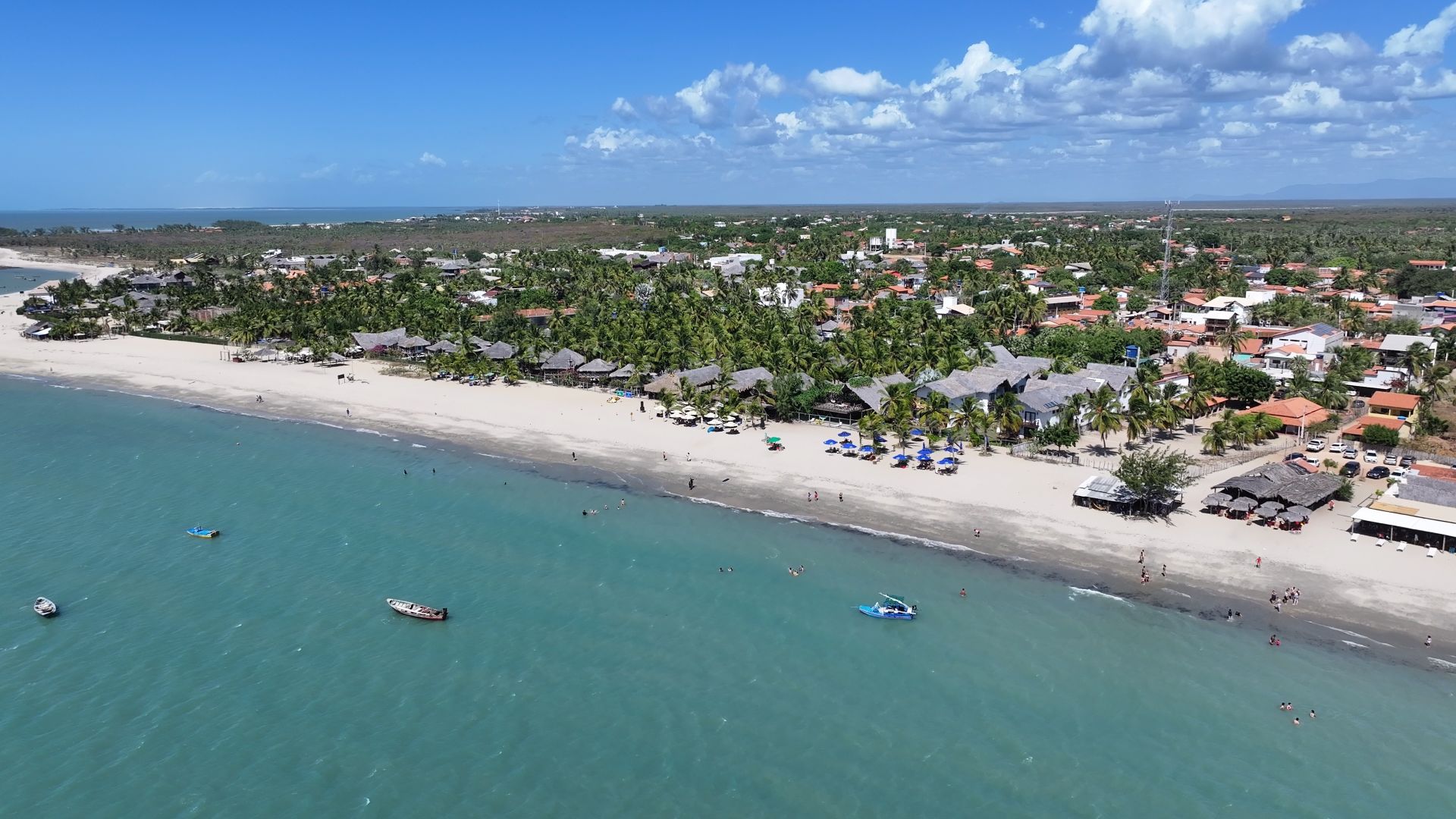 Ecad move ação contra municípios do Piauí por dívidas em direitos autorais de música no Carnaval 