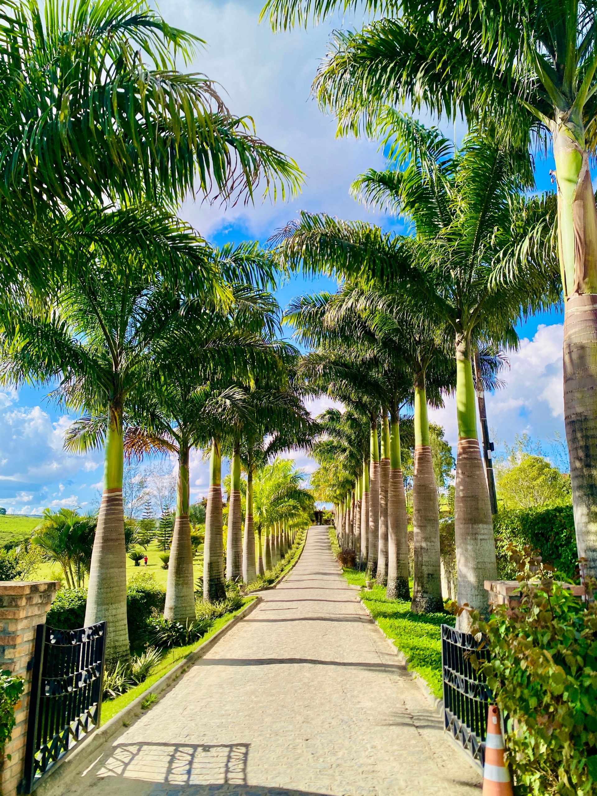 Justiça determina pagamento de direitos autorais para realização de festival em Garanhuns (PE)