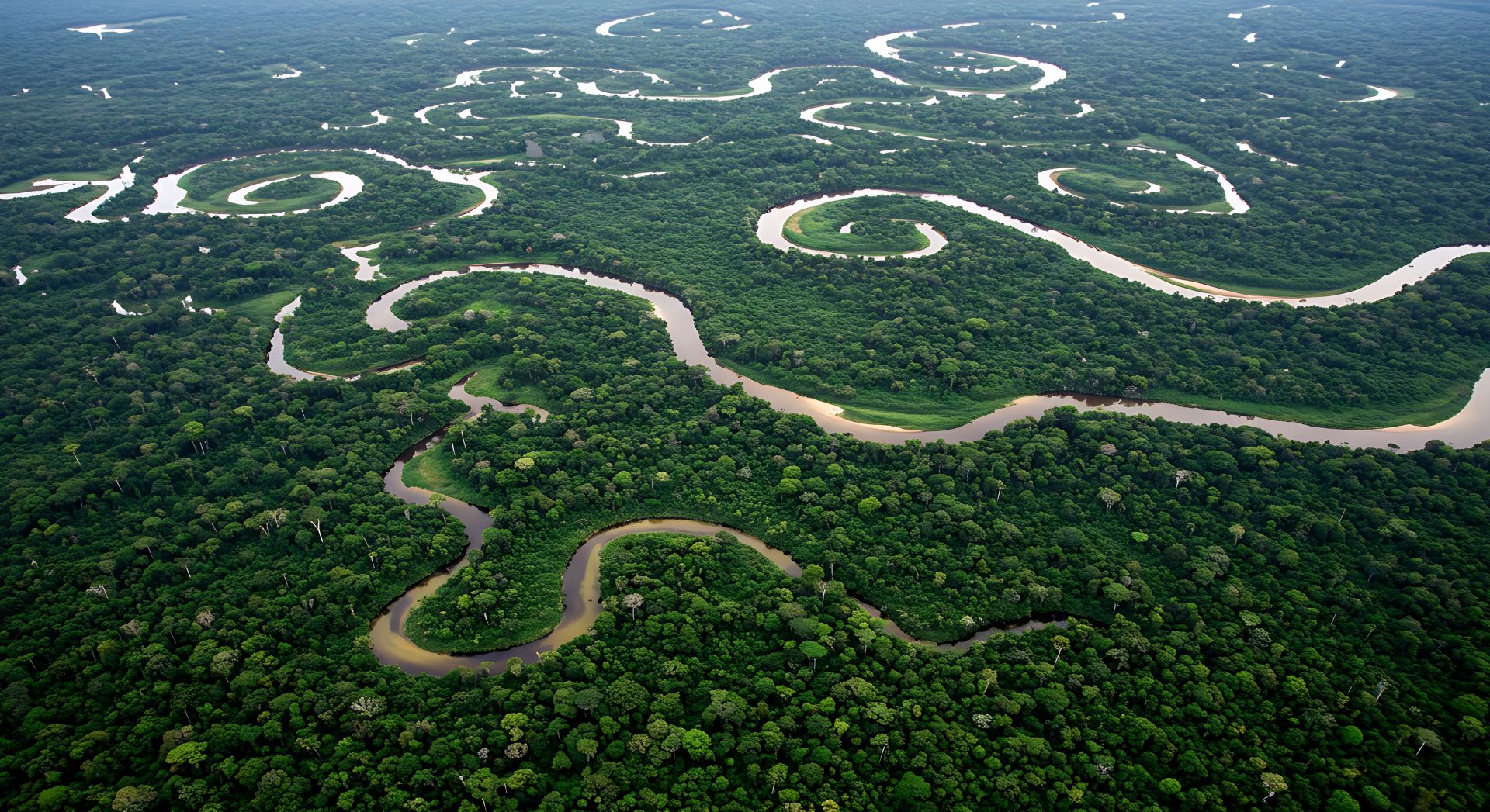 Festas Juninas começam no Amazonas e Ecad aponta o estado como o terceiro maior inadimplente do país