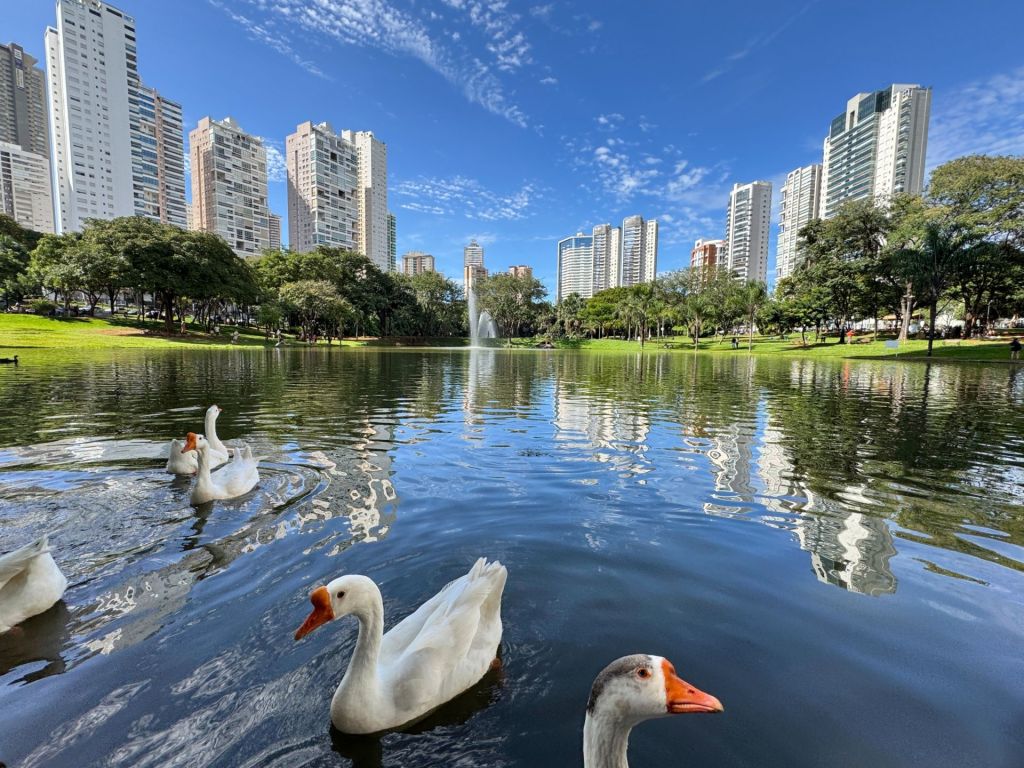 Prefeitura de Goiânia mantém dívida de R$ 3,6 milhões em direitos autorais às vésperas do aniversário da capital